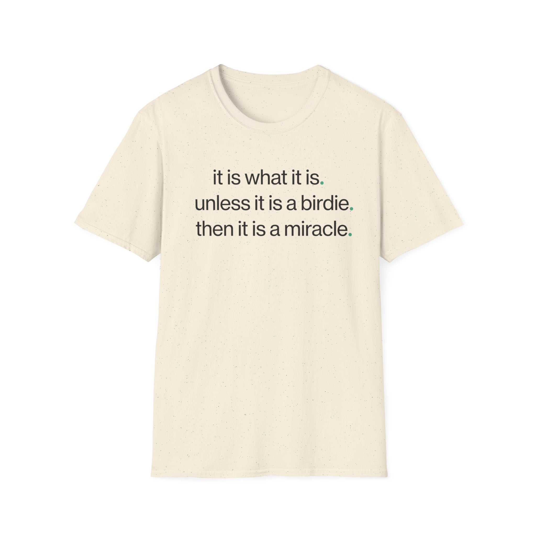 It is What it is T-shirt