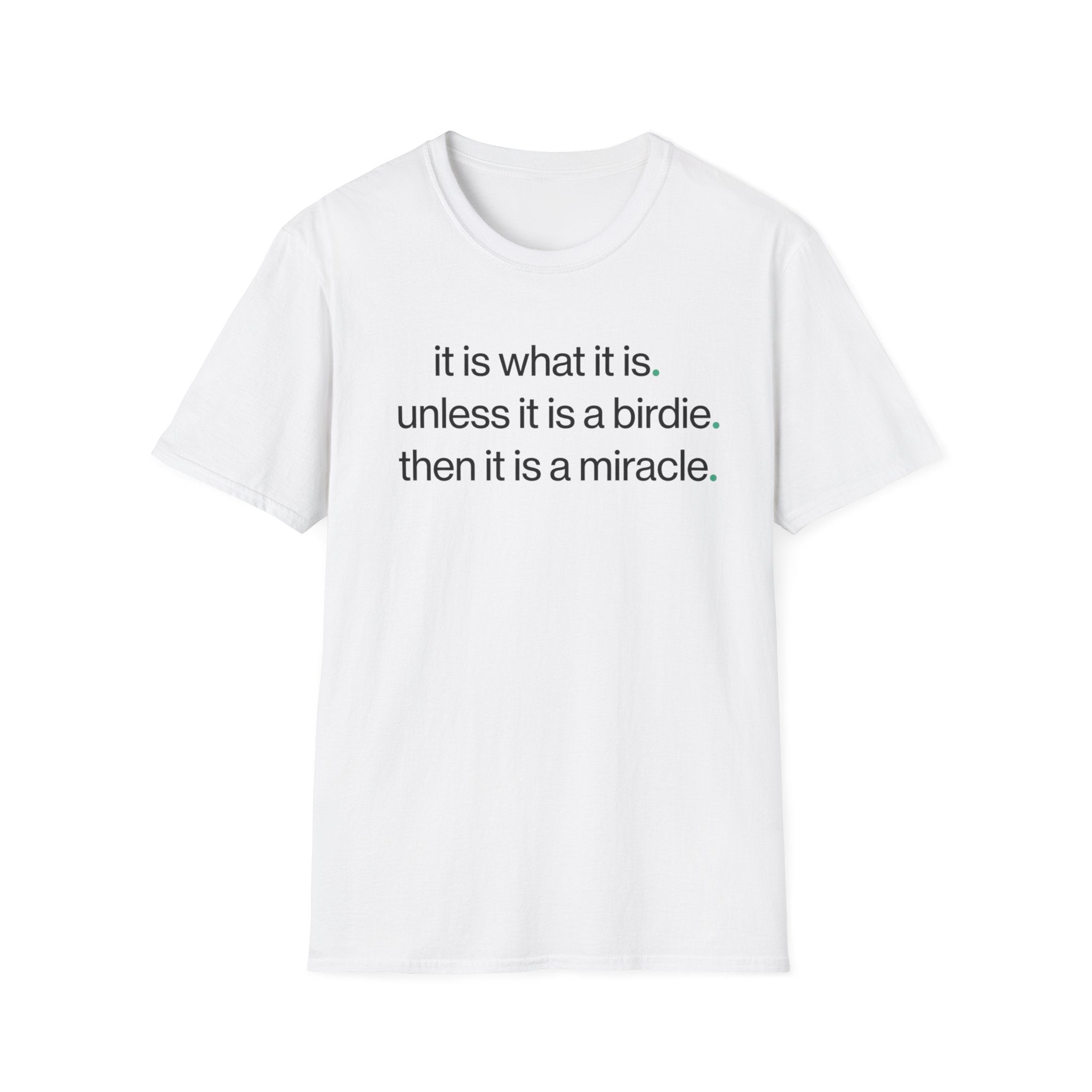 It is What it is T-shirt