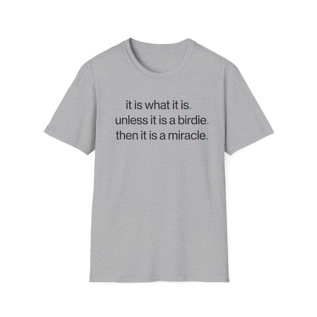 It is What it is T-shirt